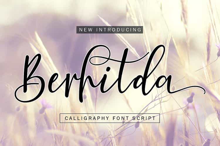 Berhilda Script Font Image 1
