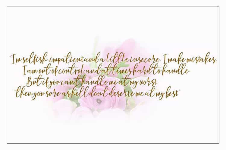 Berhilda Script Font Image 3