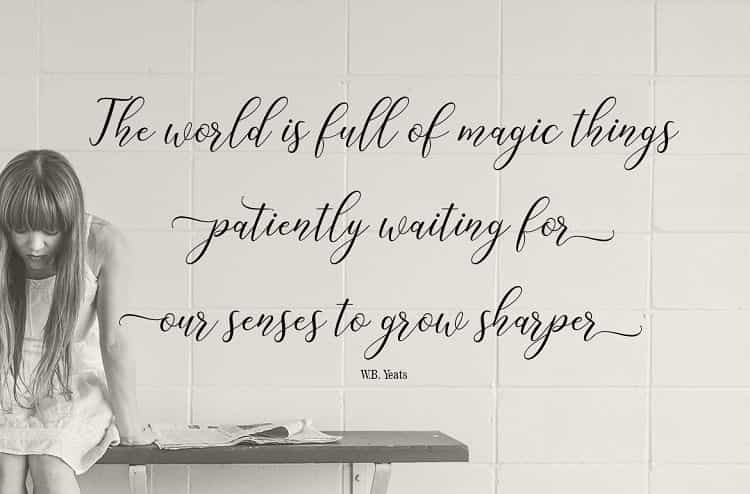 Katlyne Script Font Image 3