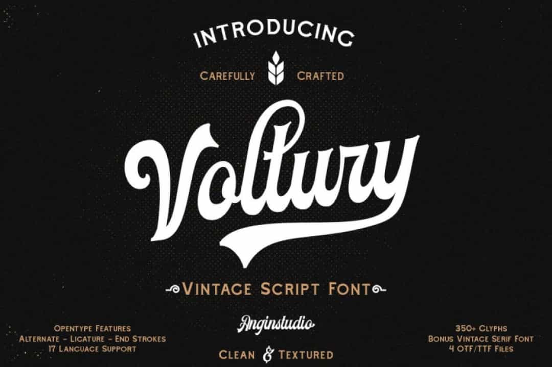 Voltury Font Image 1