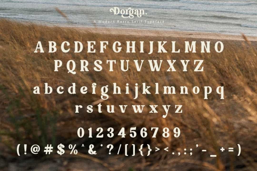 Dorgan Font Image 3