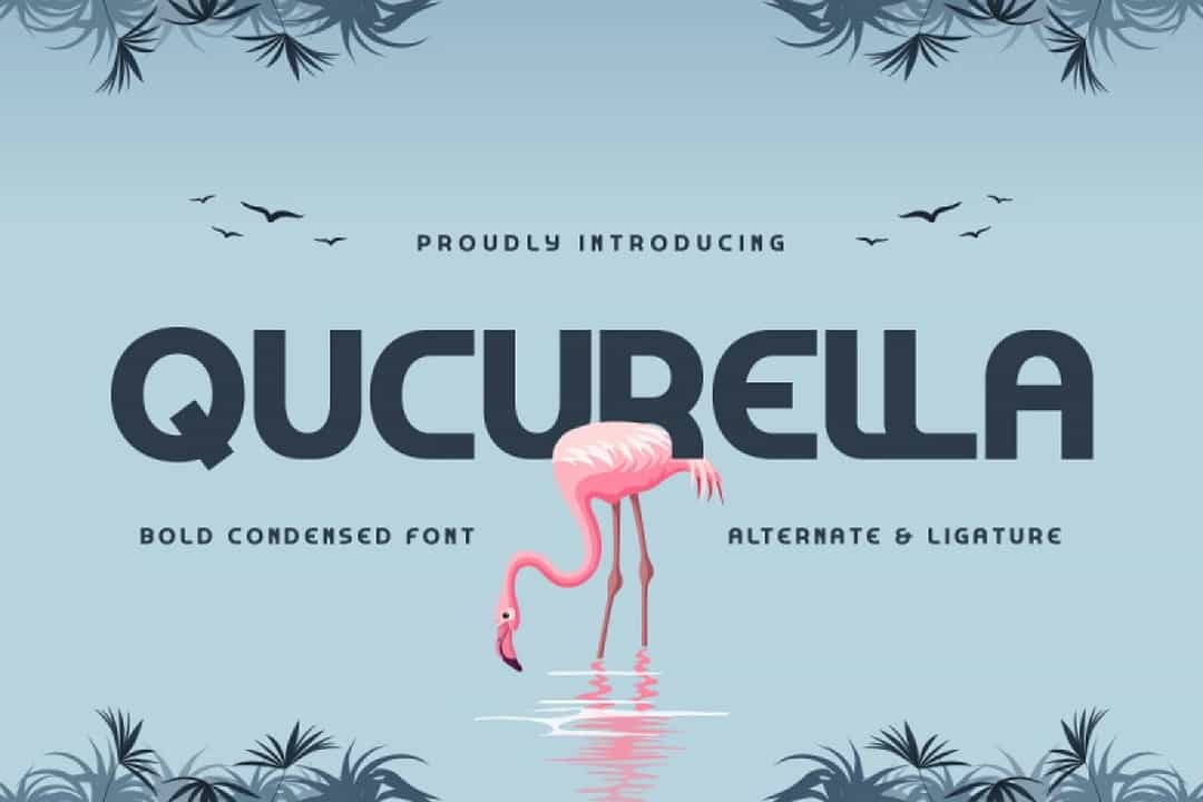Qucurella Font Image 1