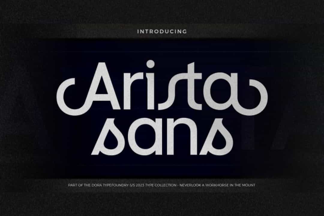 Arista Sans Font Image 1