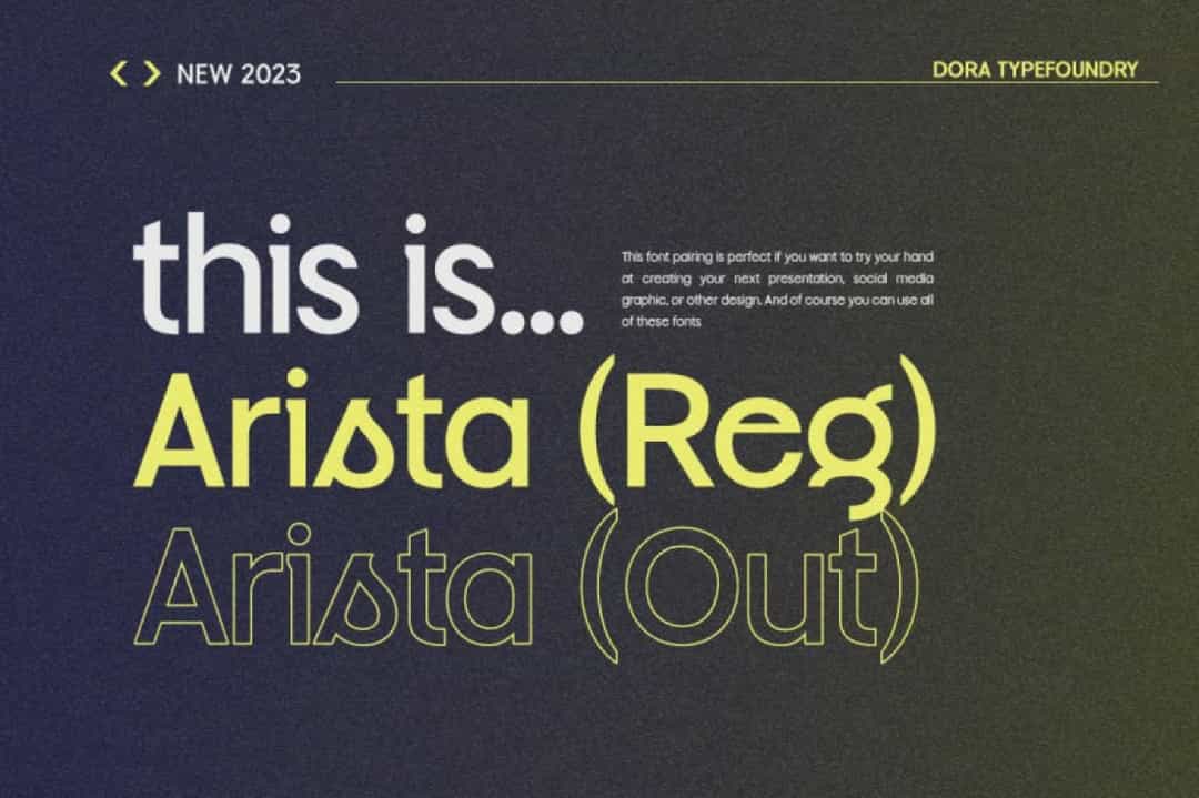 Arista Sans Font Image 2