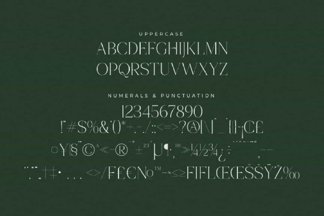 Onesta Vigano Font Image 3