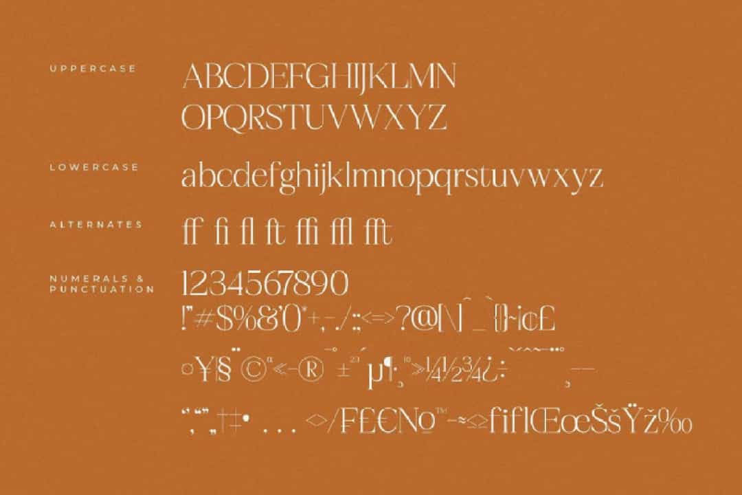 Realife Moment Font Image 3