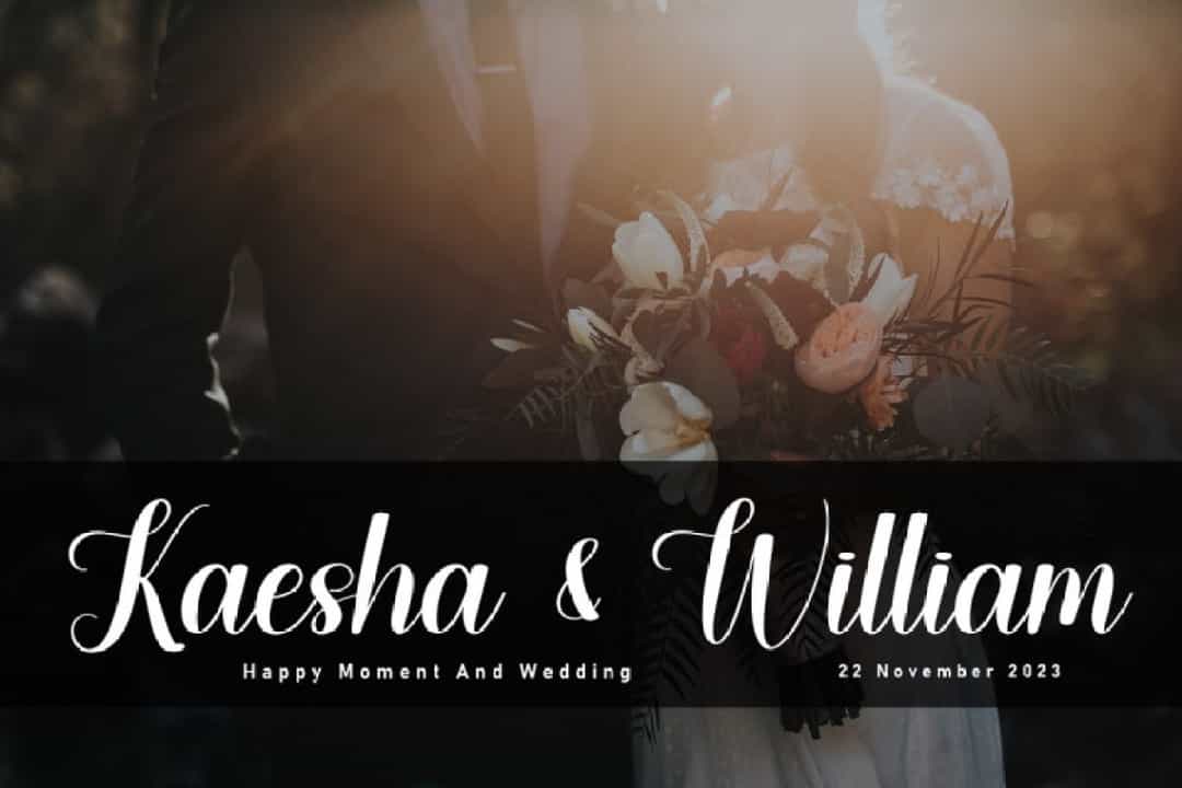 Angelwings Font Image 3