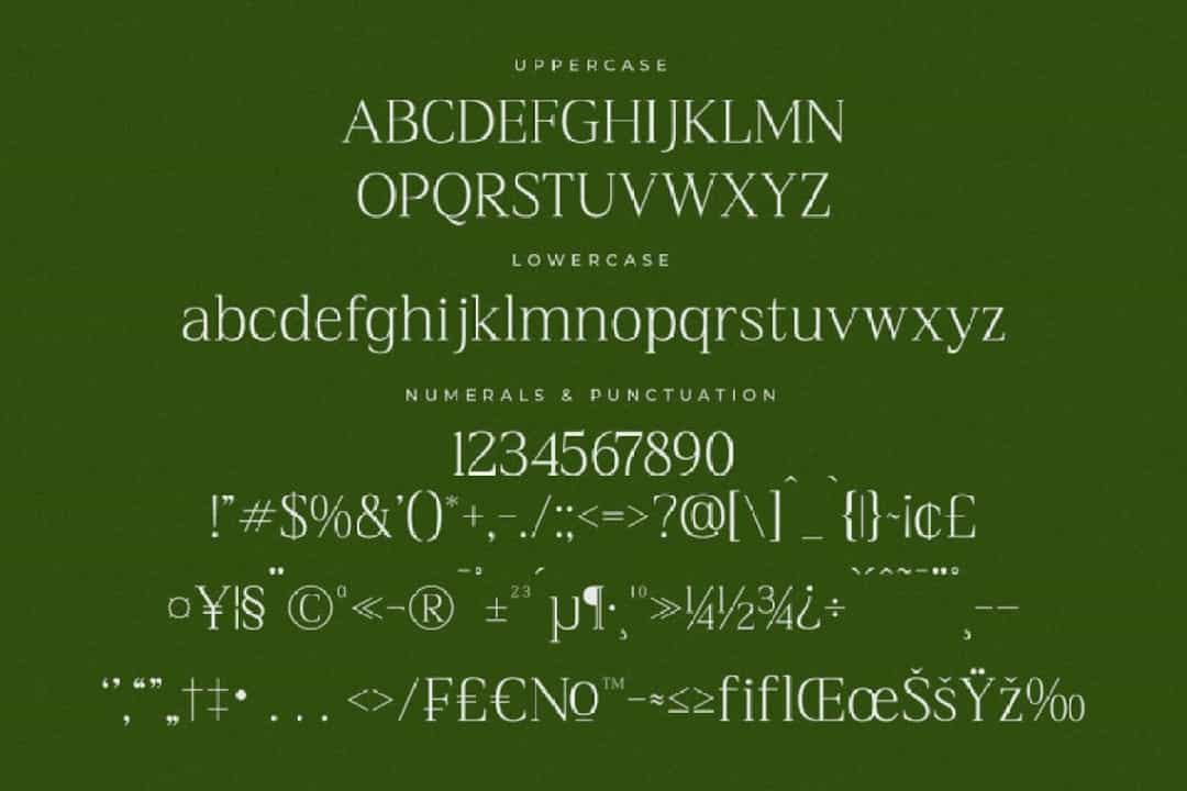 Blacindy Font Image 3