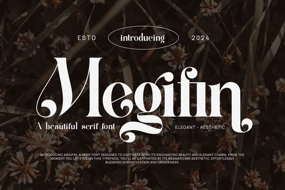 Megifin Font Image 1