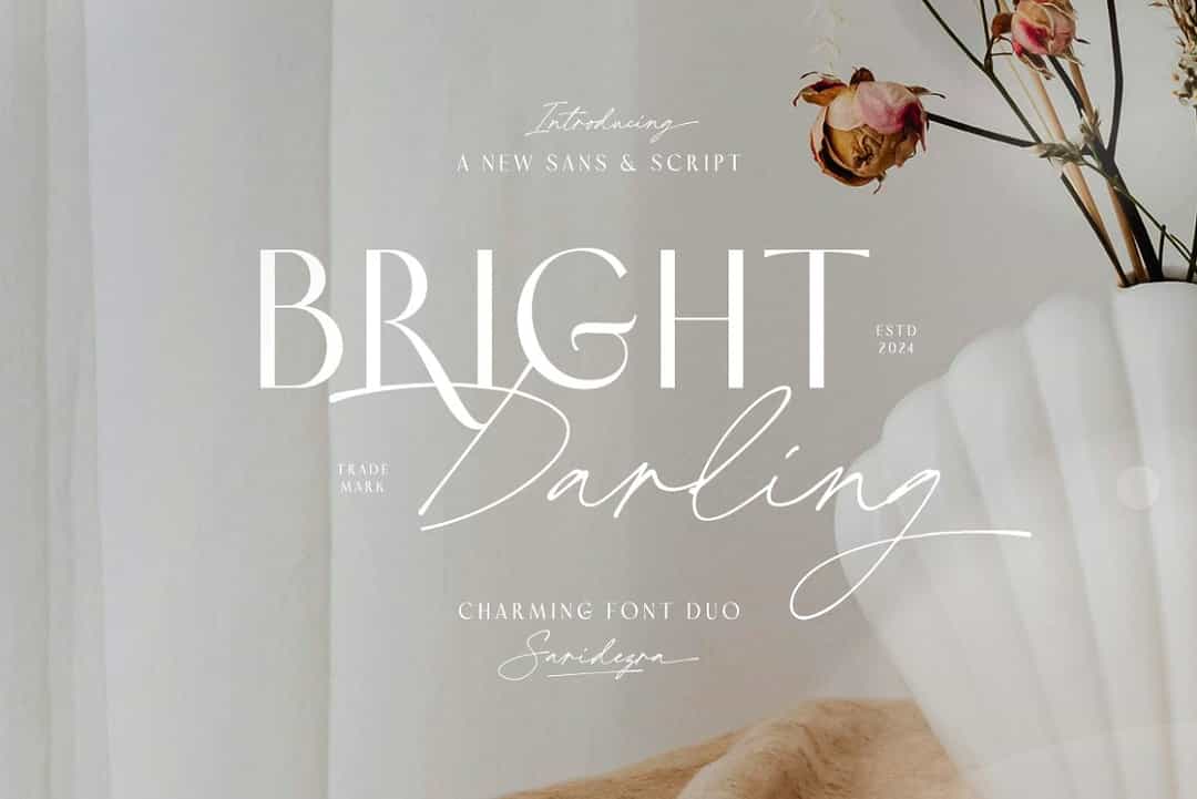 Bright Darling Font Duo Image 1