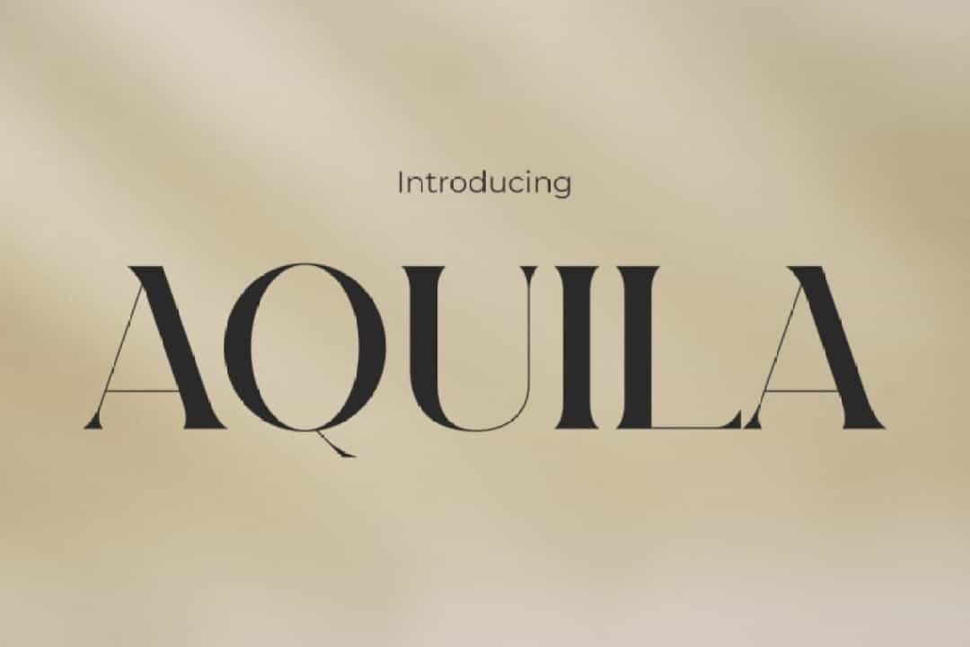 Aquila Serif Font Image 1