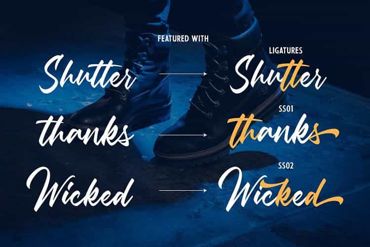 Debtos Script Font Image 2