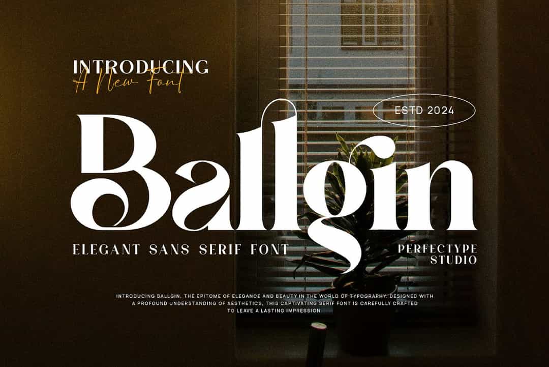 Ballgin Font Image 1