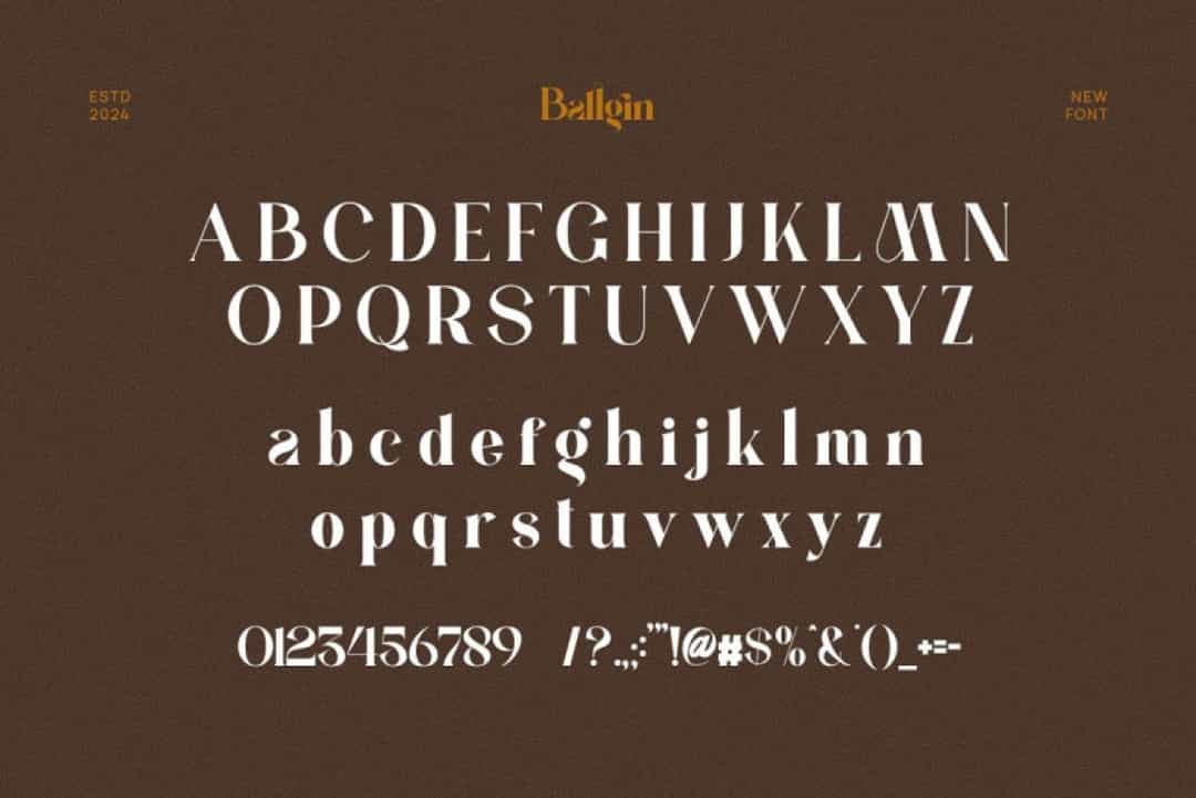 Ballgin Font Image 3