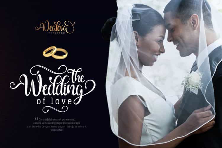 Dealova Script Font Image 3