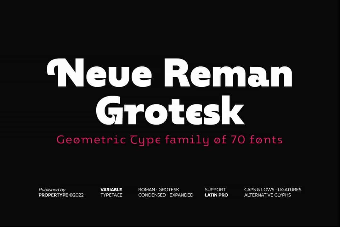 Neue Reman Gt Font Image 1