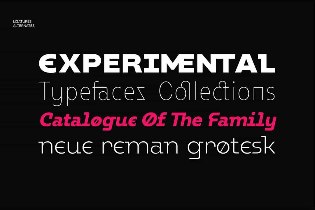 Neue Reman Gt Font Image 2