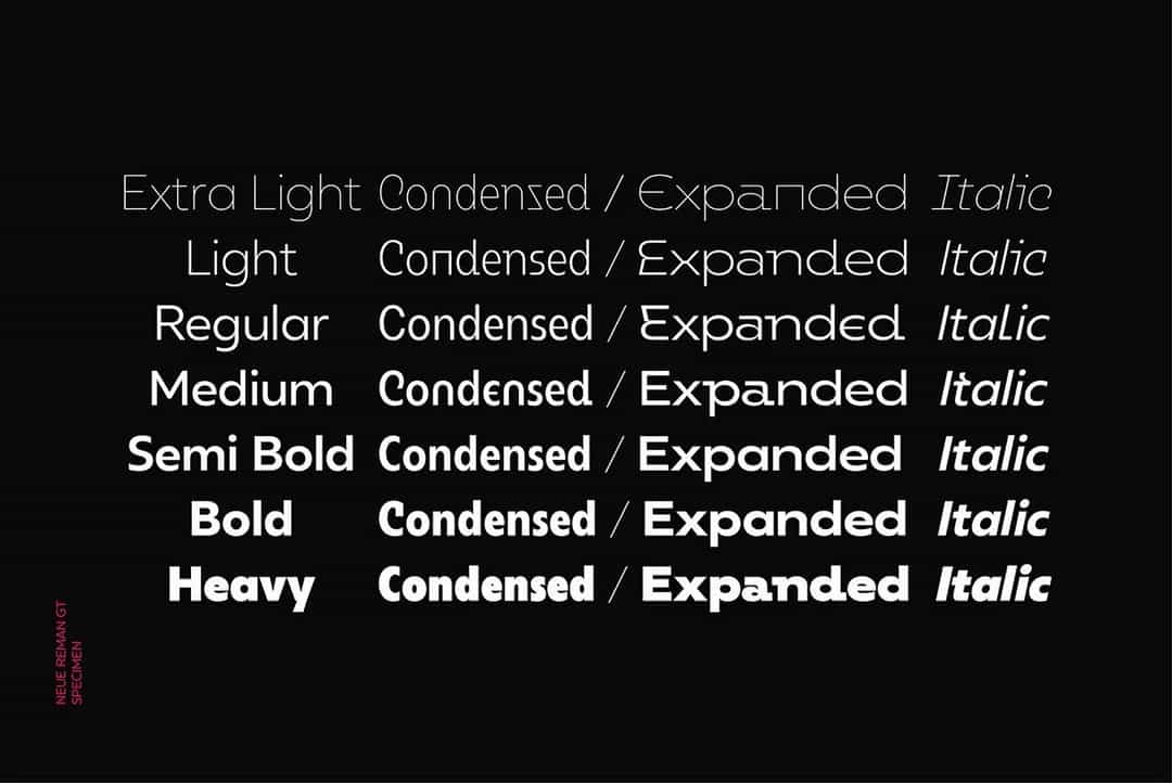 Neue Reman Gt Font Image 3