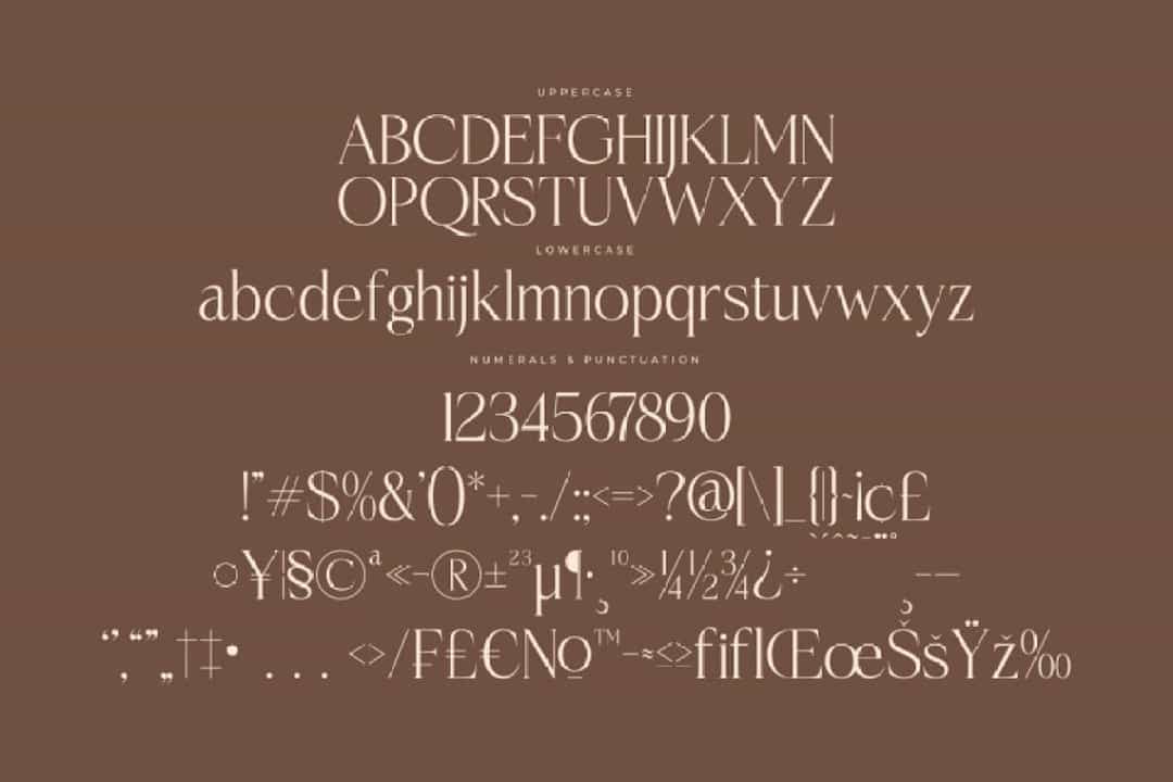 Casselin Font Image 3