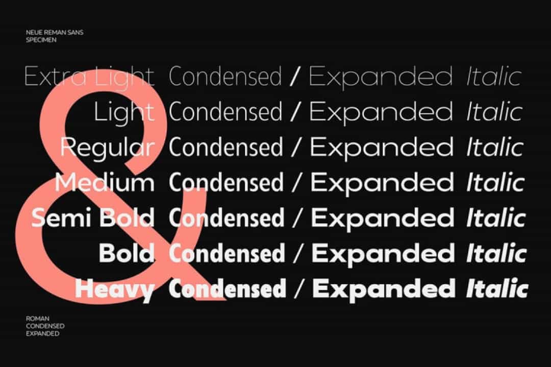 Neue Reman Sans Font Image 2