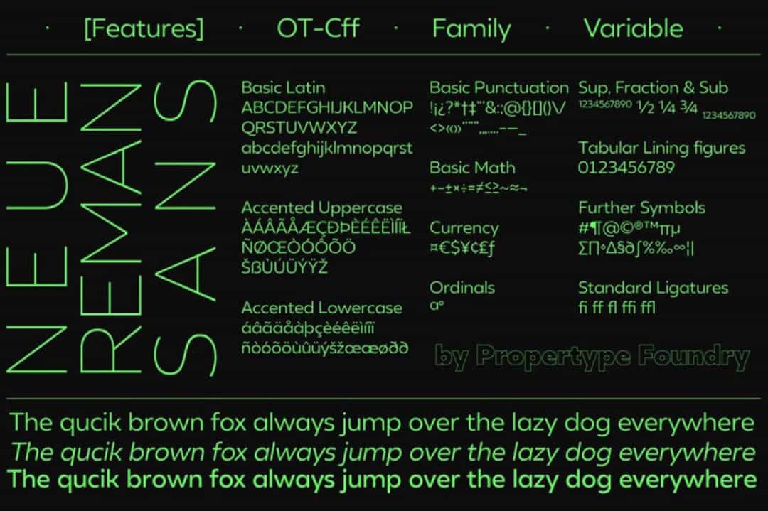 Neue Reman Sans Font Image 3