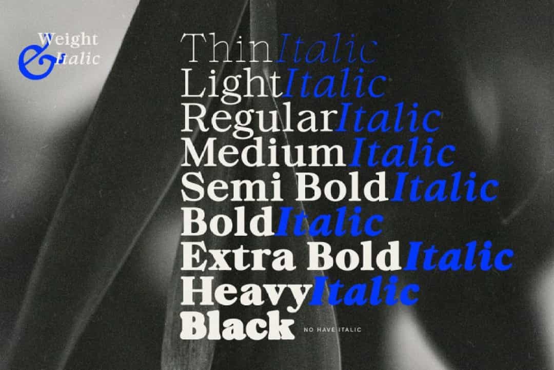 ZT Chintzy Font Image 2