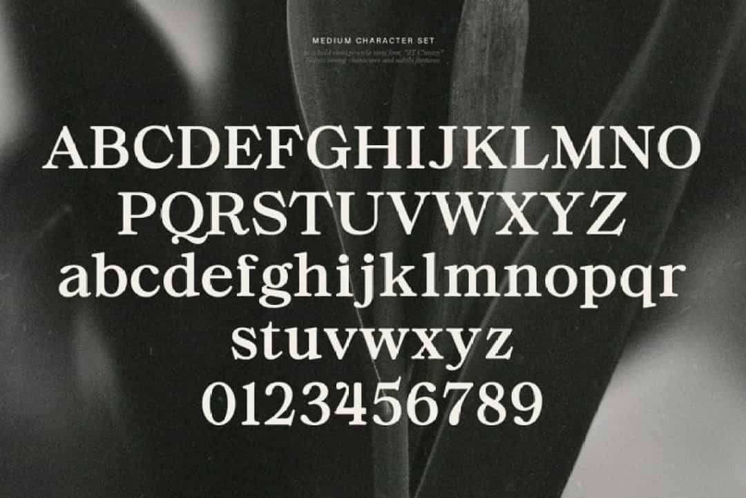 ZT Chintzy Font Image 3