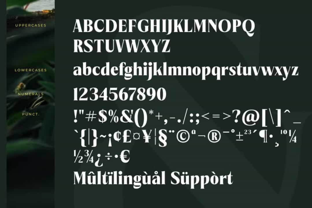Merodic Font Image 3