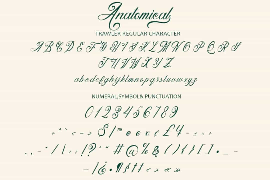 Anatomical Font Image 3
