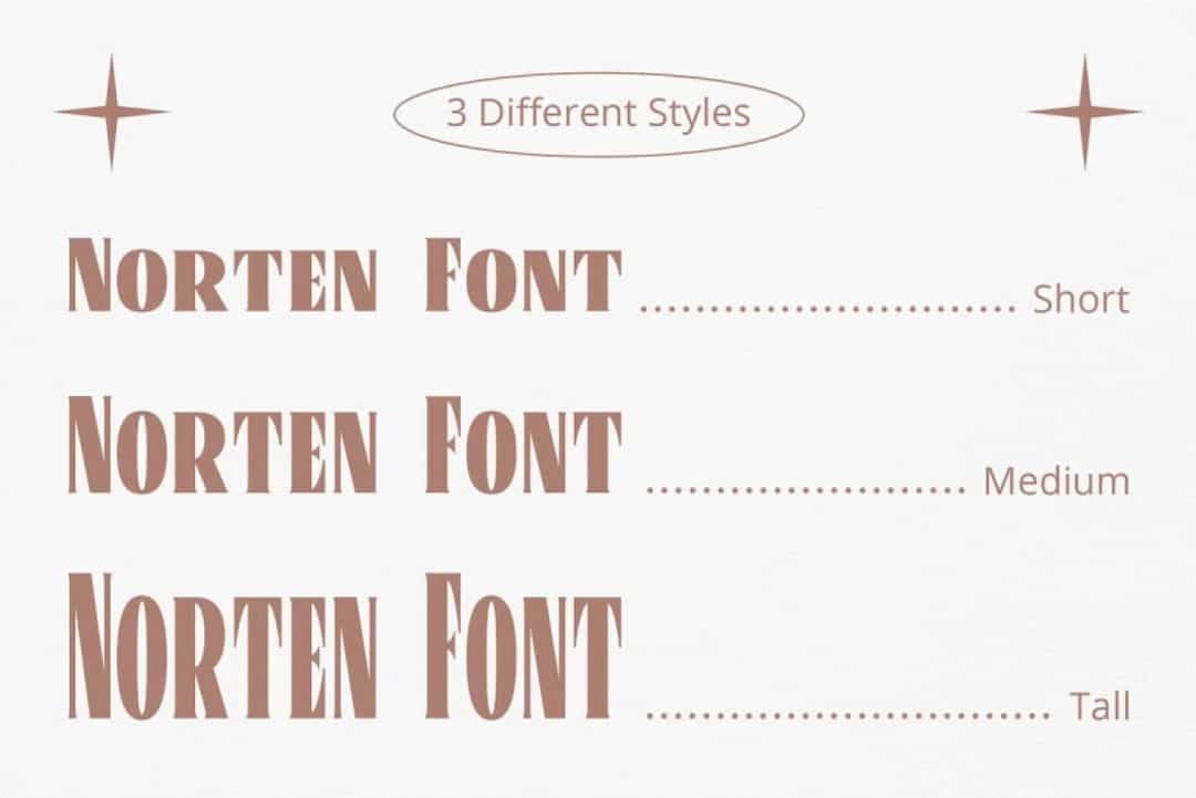 Norten Font Image 2