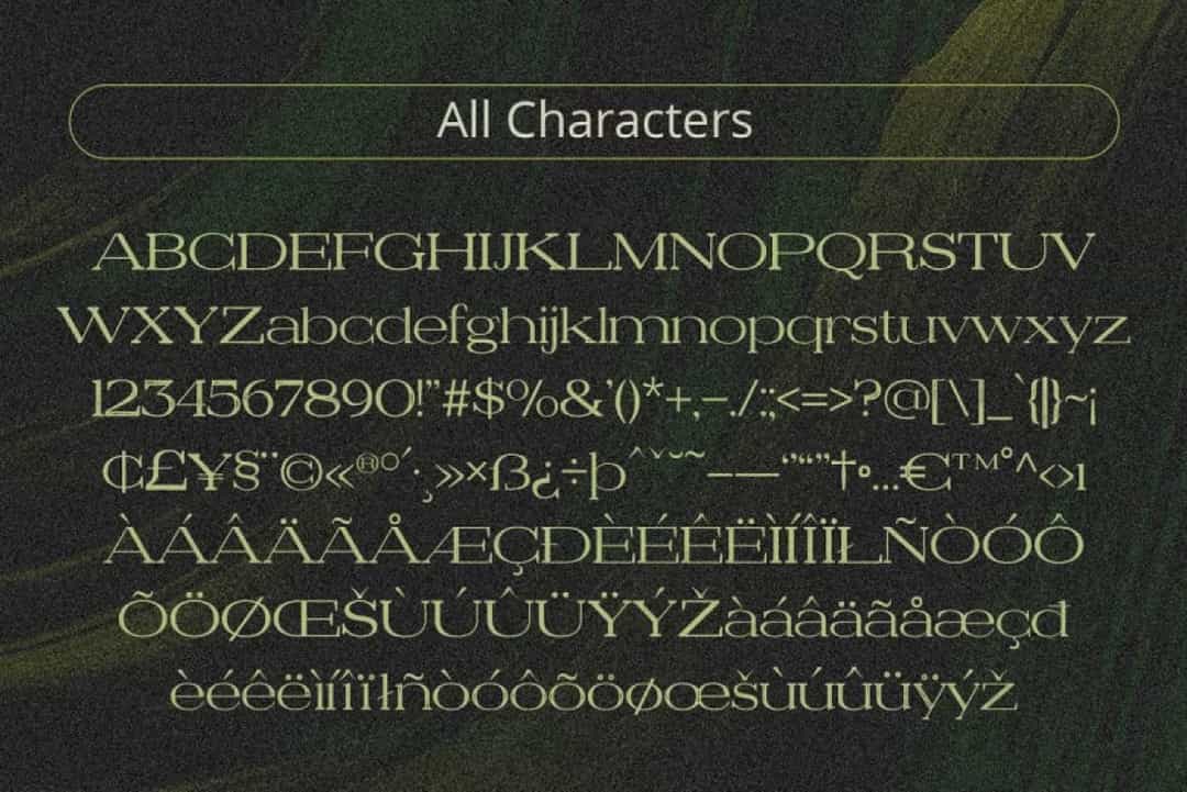 Denvile Vintage Font Image 3