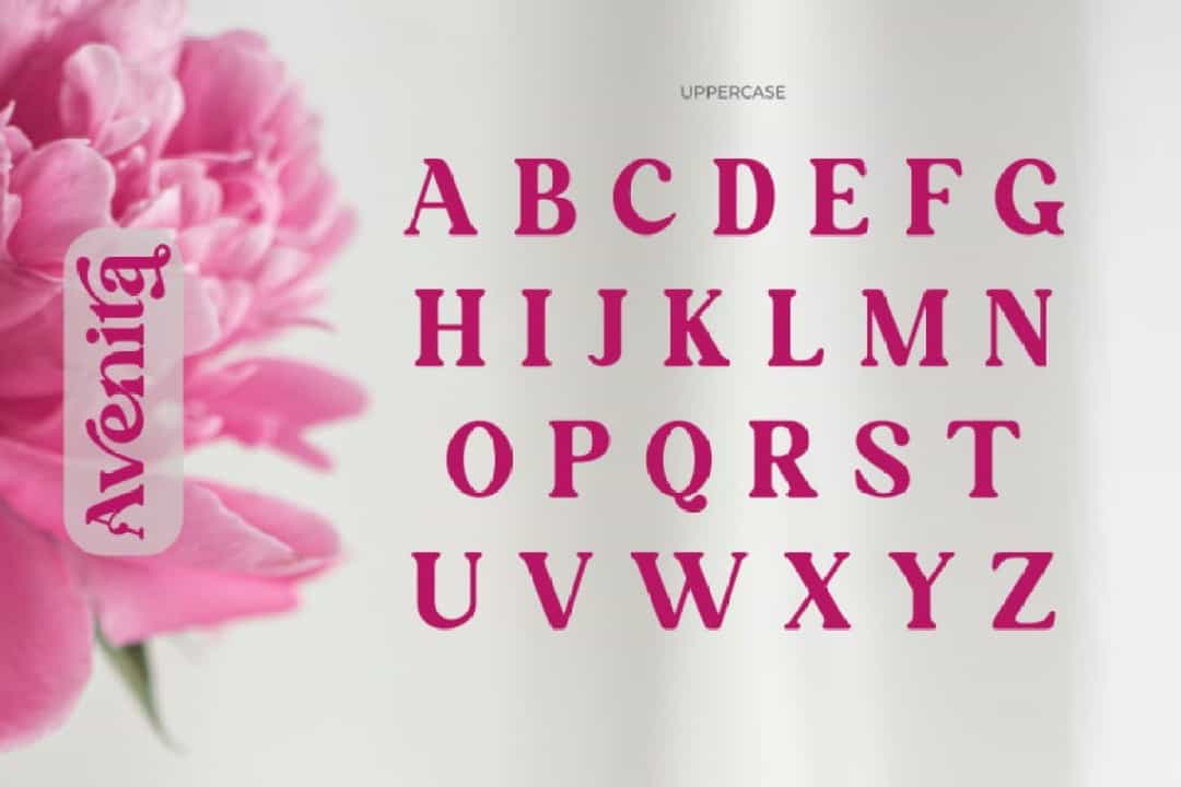Avenita Font Image 2