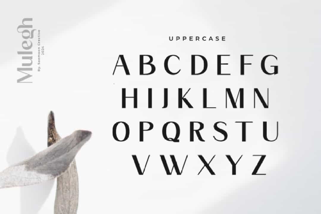 Mulegh Font Image 2