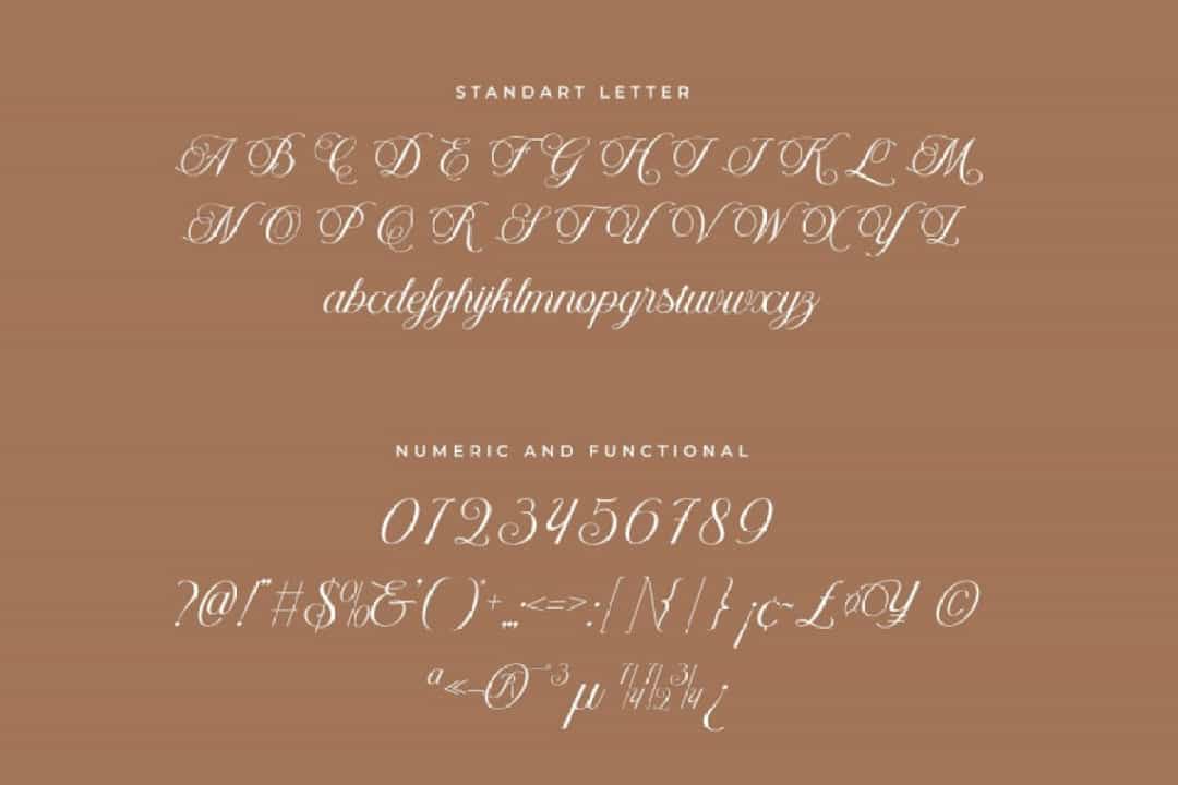 Helyna Font Image 3