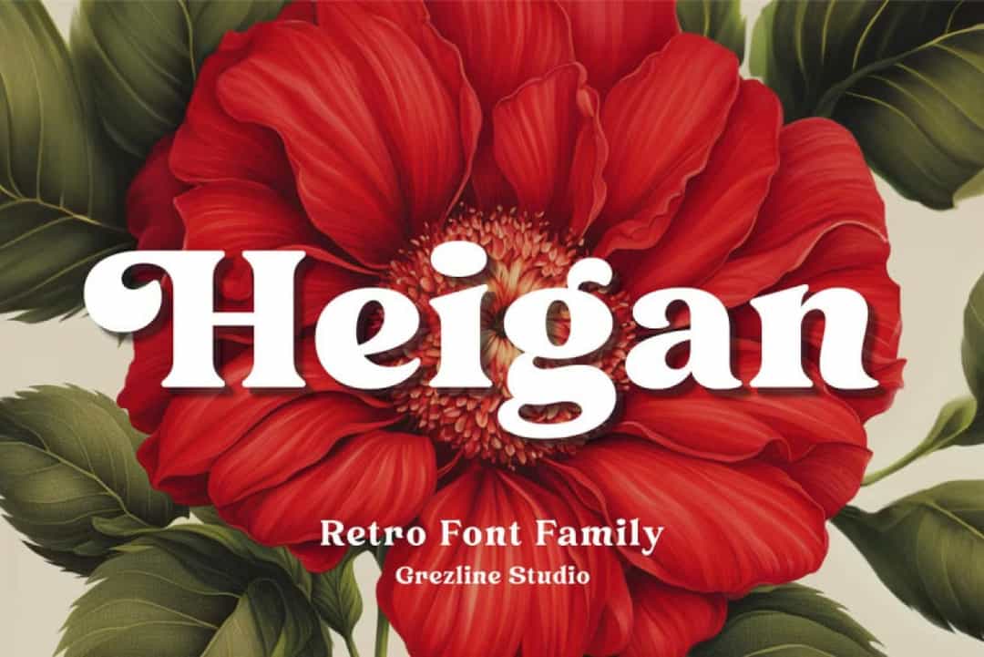 Heigan Font Image 1