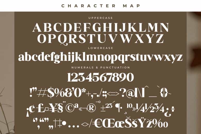 Badilna Font Image 3