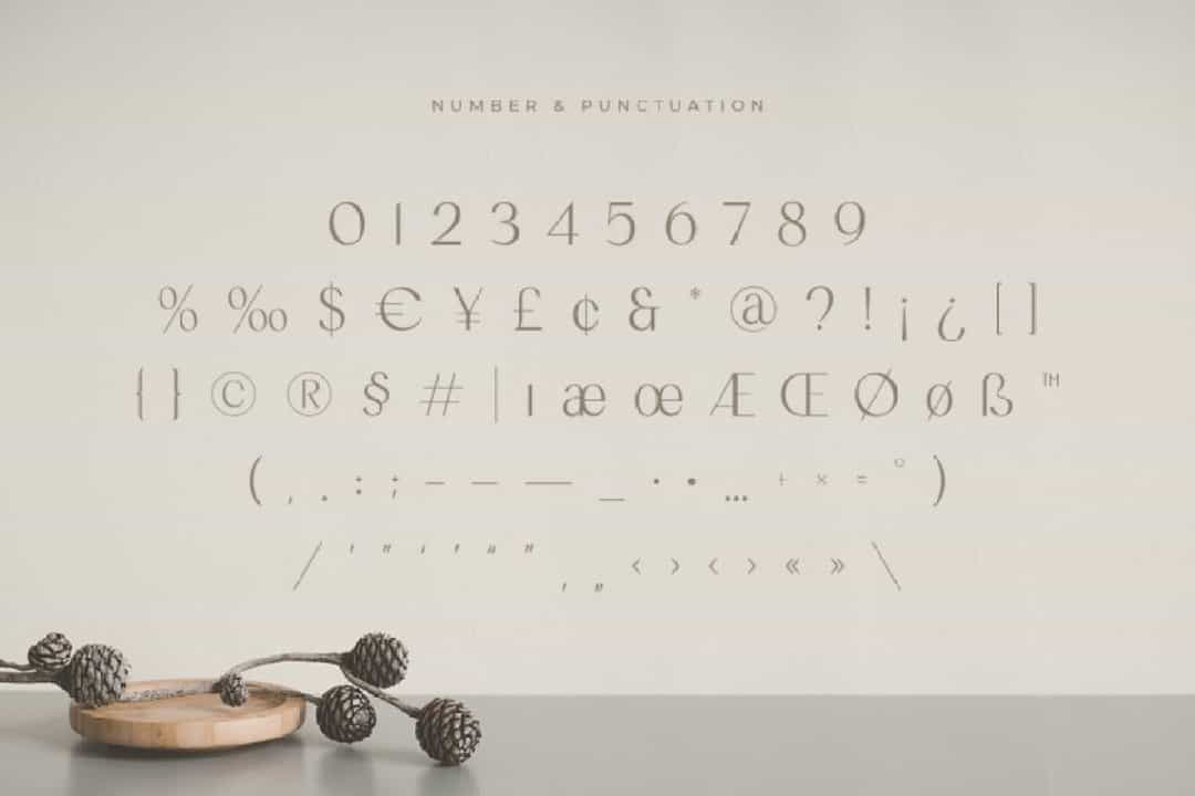 Romantic Font Image 4