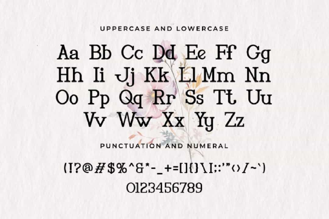 Elizabeth Font Image 3