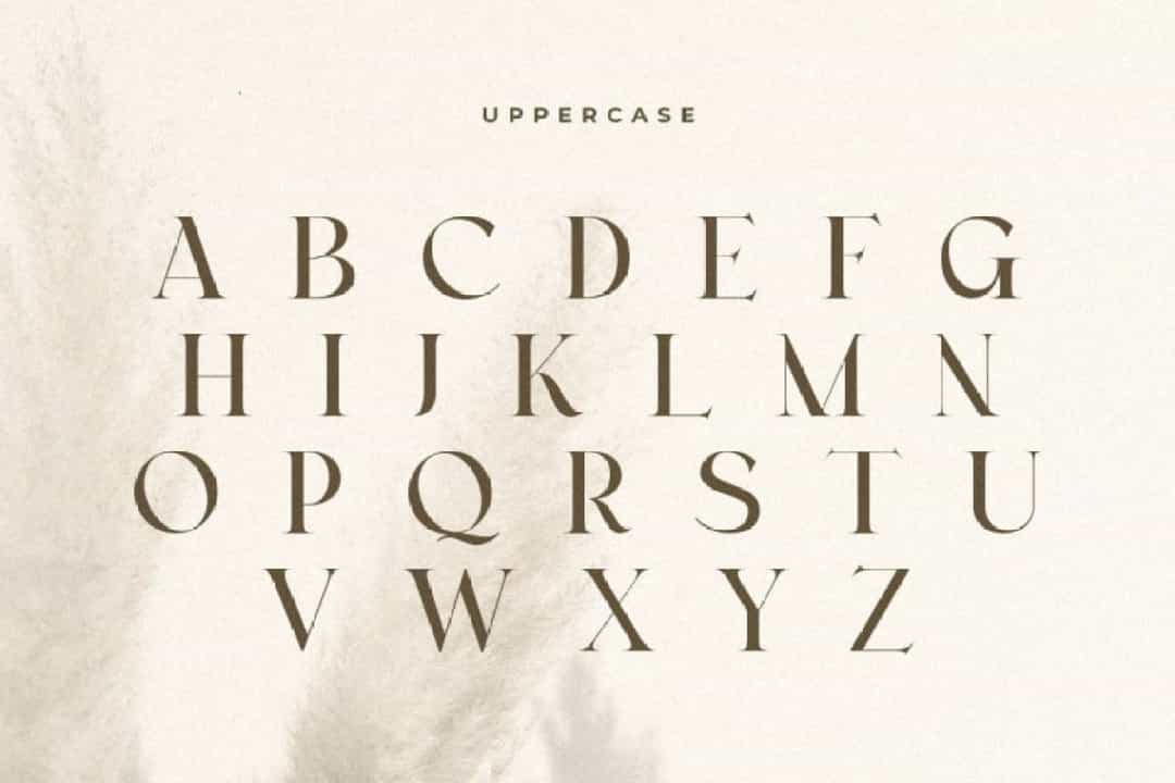 Monicha Font Image 2
