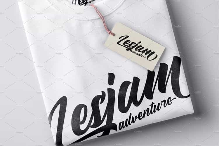 Sellwyne Script Font Image 2