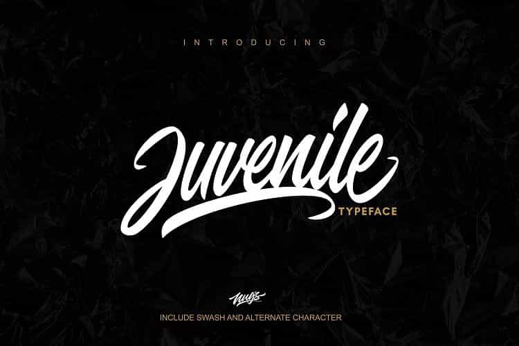 Juvenile Script Font Image 1