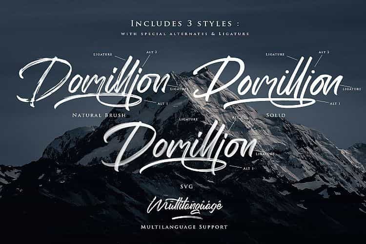 The Domillion Brush Font Image 3