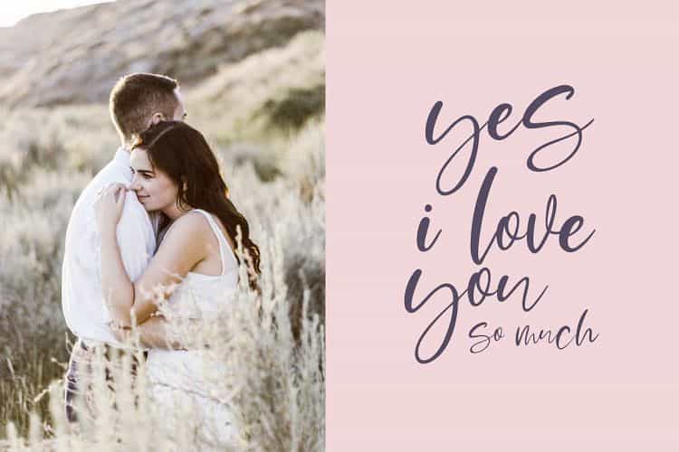 Moskova Script Font Image 3
