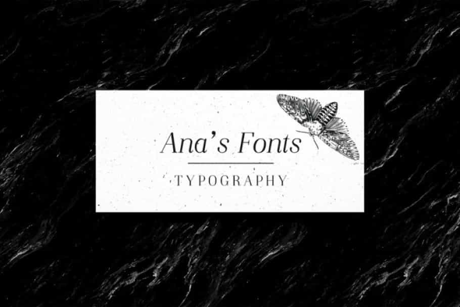 Night Still Comes Lite Serif Font Image 3