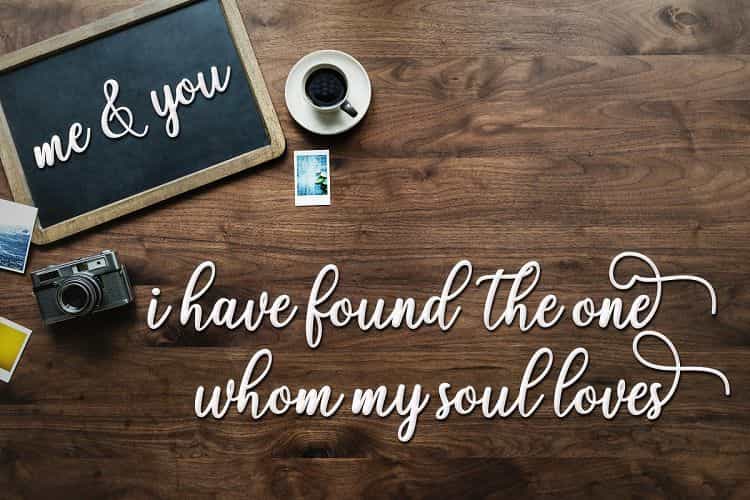 Fadelya Script Font Image 2