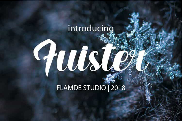 Fuister Script Font Image 1