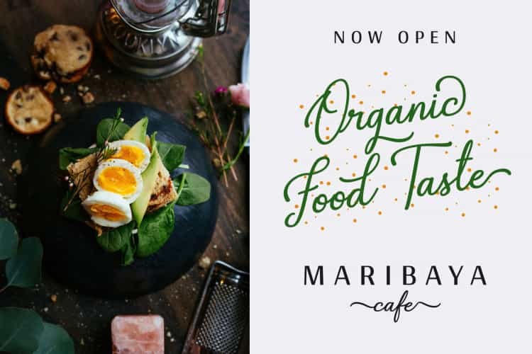 Gabryna Script Font Image 2