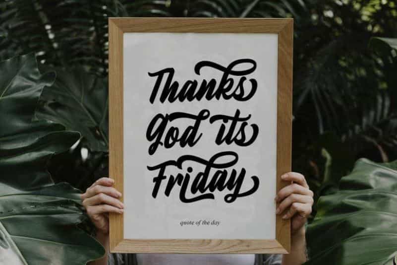 Fineberg Script Font Image 2