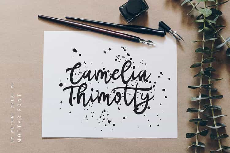 Mottas Script Font Image 2