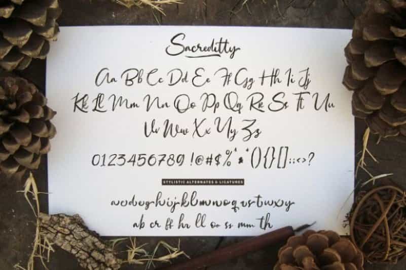 Sacreditty Handbrush Font Image 3